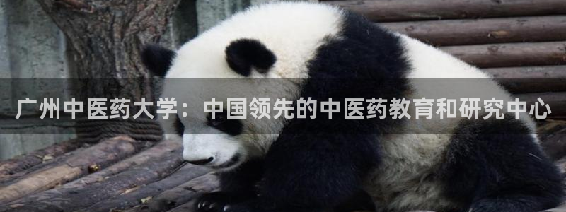 九游会官网可靠的