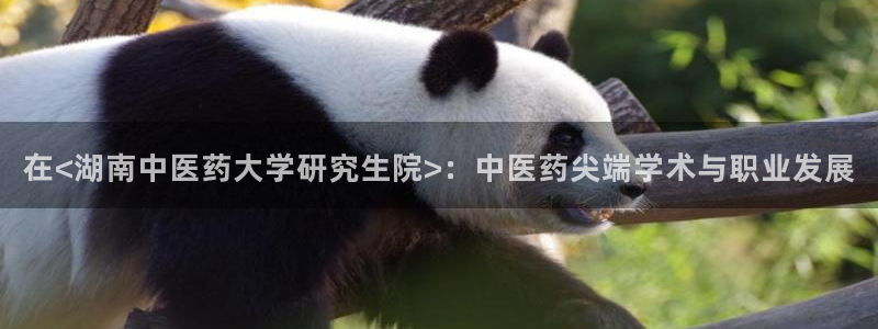 j9九游会老哥俱乐部