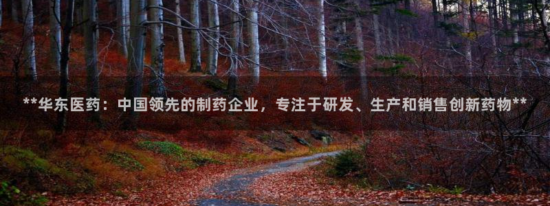 九游会j9官网
