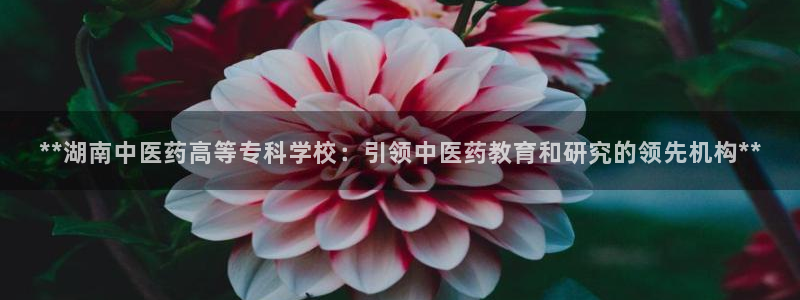 九游会agj9