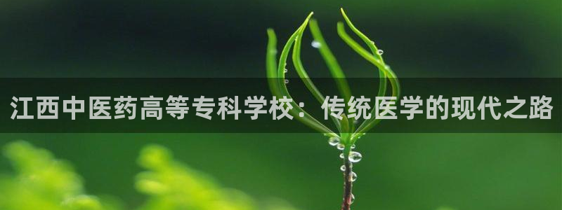 9游会旗舰