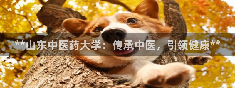 九游会是ag吗