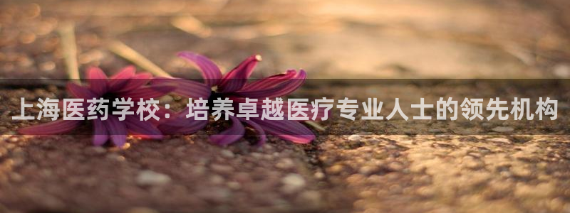 九游会ag入口