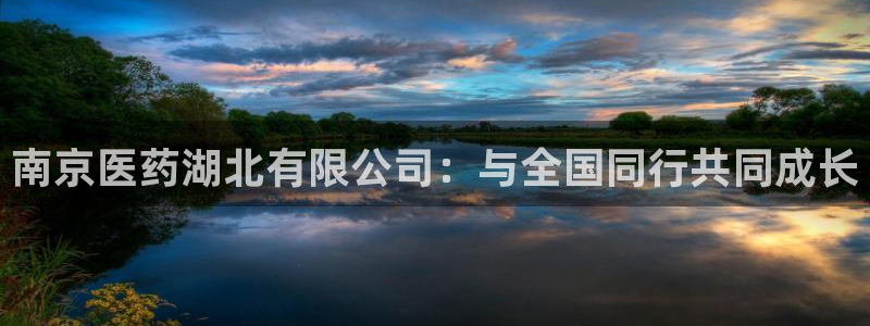 九游会国际厅有限责任公司