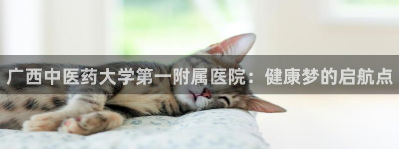 九游会AG登录入口