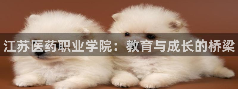 九游会中国官方网站