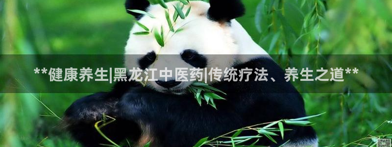 j9官网登录入口网页