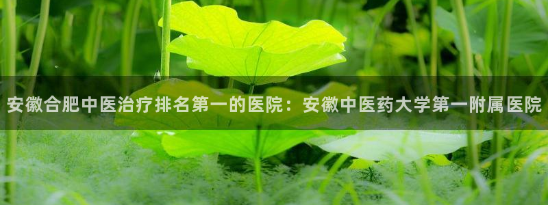 j9九游会真人游戏第一品牌捕鱼王