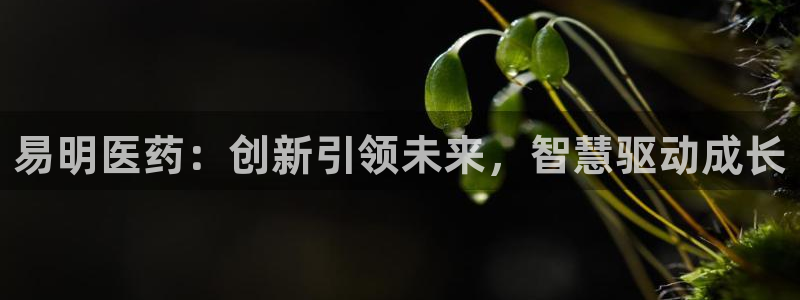 九游会AG登录入口
