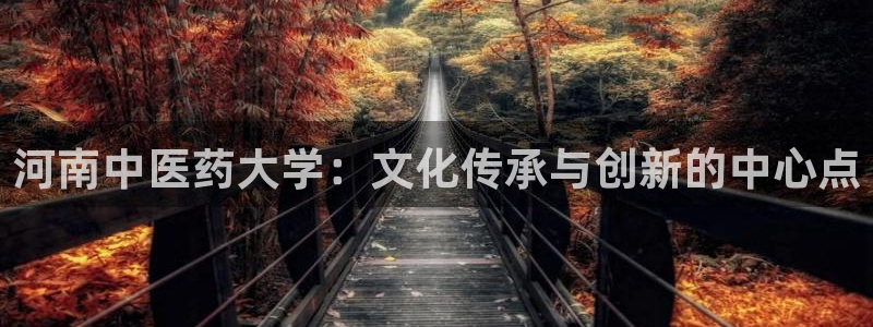 九游会跟ag是怎么一回事
