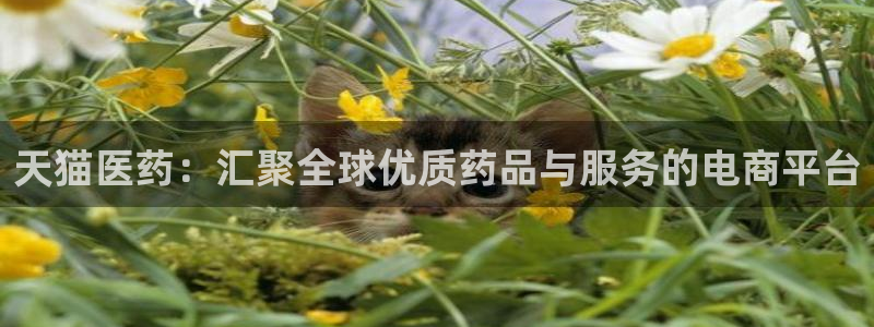 九游会官方网址