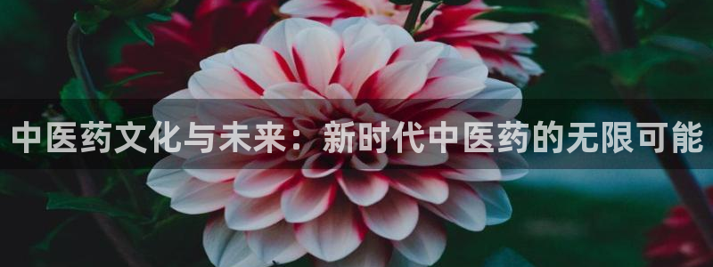 九游会贴吧