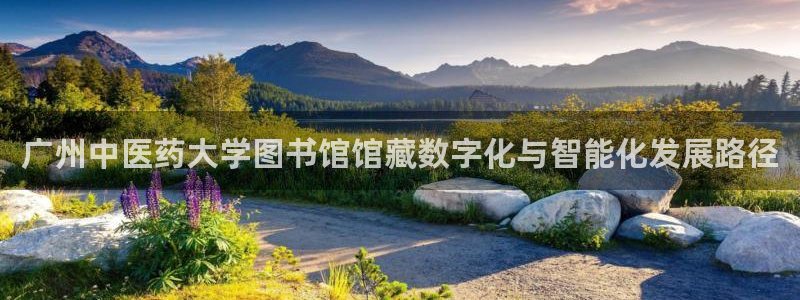 j9九游会官网