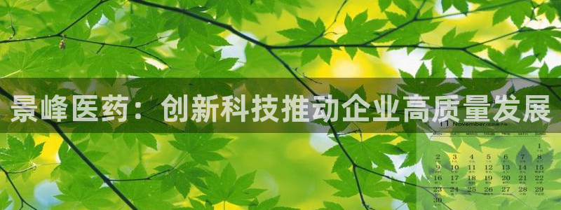 九游会官网进入口