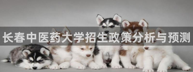九游会倒闭吗?