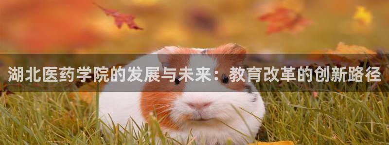 j9九游会黑网