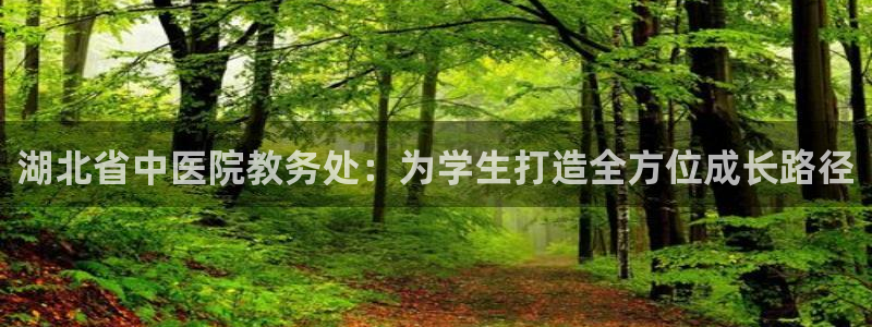 九游j9官方旗舰店