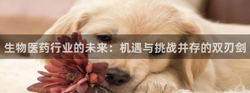 九游会老哥俱乐部论坛版