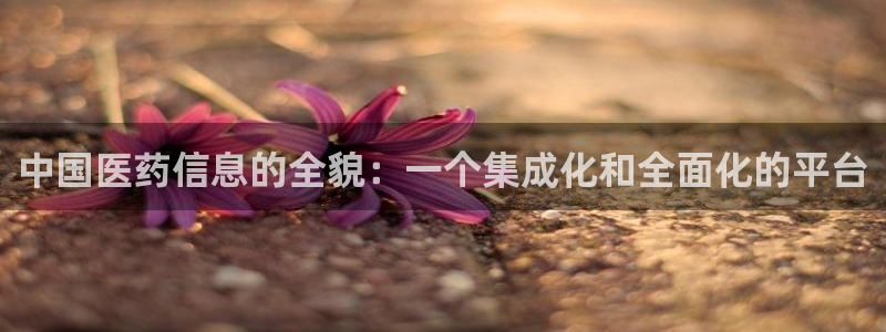 j9九游会真人游戏第一