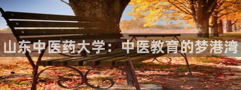 j9九游会跑路了吗