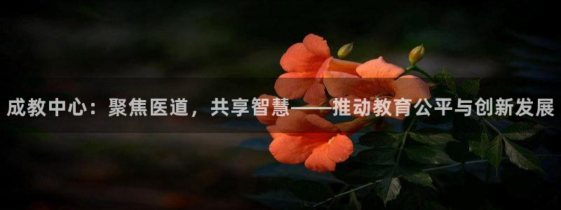 j9九游会备用网址